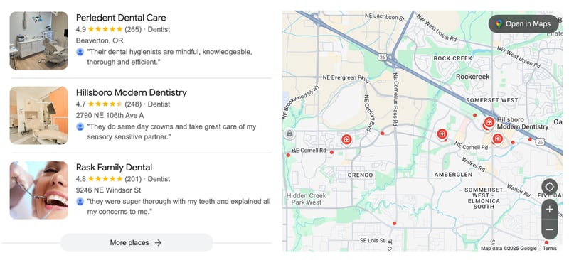 Google Maps Local SEO Results